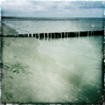 zingst_xxx